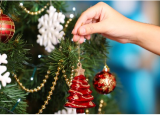 Evo kada treba OKITITI JELKU da biste privukli bogatstvo i sreću: Astrolozi su naveli tačne datume