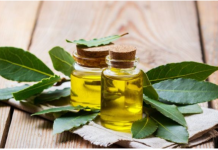 Kako napraviti ulje lovora i zašto je to skriveni lijek za bol i upalu