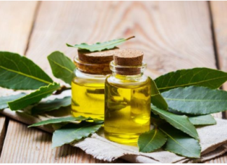 Kako napraviti ulje lovora i zašto je to skriveni lijek za bol i upalu