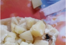 KUPILA JE PITU KROMPIRUŠU I ŠOKIRALA SE: Od onoga što je našla UNUTRA, pekare su joj se SMUČILE za cijeli život! (FOTO)