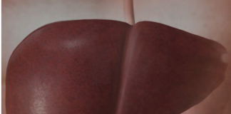 Jetra pod pritiskom: namirnice koje je opterećuju gotovo kao alkohol