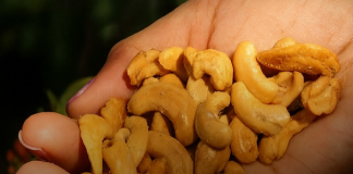 Gdje PRONAĆI vitamin B17 i KAKO ga koristiti