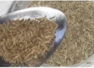 Da li se stalno debljate, loše spavate i bole vas zglobovi? Ovaj JEFTIN začin bi mogao biti odgovor