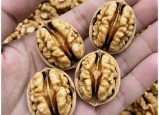 Ljekari otkrivaju: Šta jedenje oraha može učiniti za vaše zdravlje