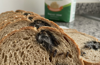 Šokantno otkriće: Ono što je otkriveno u kruhu otvara zabrinutosti oko sigurnosti hrane