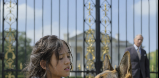 Niko nije mogao da priđe psu osim nje — a kad je rekla šta želi, čovek je zaplakao