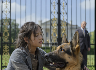 Niko nije mogao da priđe psu osim nje — a kad je rekla šta želi, čovek je zaplakao