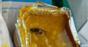 Šokantno! Naručili hranu a ono što su našli u njoj je odvratno FOTO