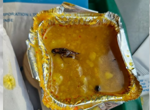 Šokantno! Naručili hranu a ono što su našli u njoj je odvratno FOTO