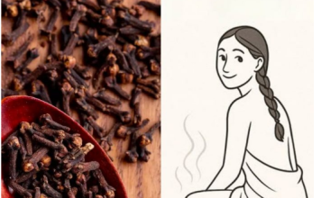 Svaka žena treba znati: Klinčić ima moć da poboljša njeno zdravlje i energiju