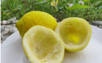 Uzmite koru od limuna i samo uradite ovo: Sudovi će biti blistavi kao nikad pre