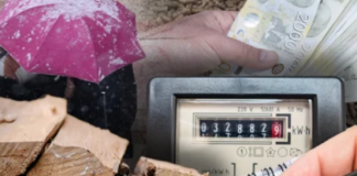 Od starudije koju svi bacaju napravio neiscrpan izvor energije: Smjestio ga u šupu i sad strujom napaja celu kuću