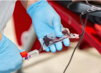 Većina 100-godišnjaka ima istu krvnu grupu