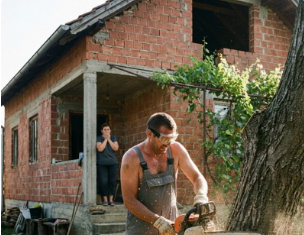 Komšija posekao orah dok je deda bio u bolnici