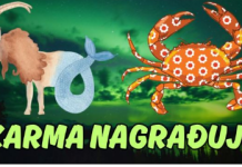 Zaslužena sreća stiže: Ovi horoskopski znaci će doživeti čaroliju dobrih dela!