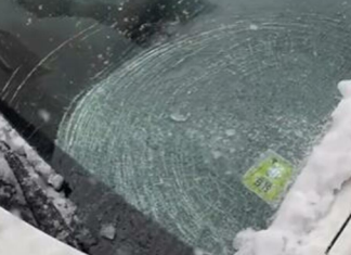 Ova žena godinama nije zatekla zaleđenu šoferšajbnu! Evo šta uradi pa joj trik i KOMŠIJE KRADU