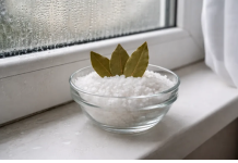 Stavite so i 3 lista lovora u svaku sobu i gledajte kako nestaje problem koji muči svako domaćinstvo