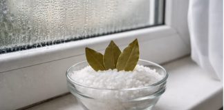 Stavite so i 3 lista lovora u svaku sobu i gledajte kako nestaje problem koji muči svako domaćinstvo