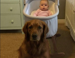 Svi su mislili da je pas opasan – dok nisam pogledao snimak iz dnevne sobe