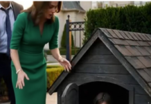 Tišina koja vrišti: Otac je zatekao decu u psećoj kućici – i odluka koja je sledila promenila je sve