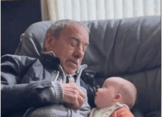 OSTAVILI SU BEBU NA TRENUTAK SA DEDOM: Kada su se vratili nisu mogli da vjeruju šta su zatekli!(VIDEO)