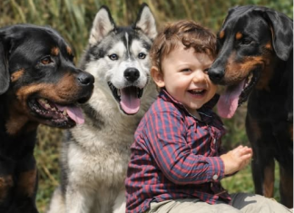 Veterinar objasnio da 5 rasa pasa nipošto ne treba držati blizu dece: Njima ne treba verovati