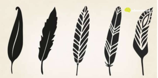 Psihološki test: Izaberite jedno pero i otkrijte najjače crte vašeg karaktera i skrivenu unutrašnju moć