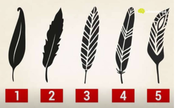 Psihološki test: Izaberite jedno pero i otkrijte najjače crte vašeg karaktera i skrivenu unutrašnju moć