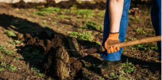 Krenite na vrijeme: Šta se sije u martu da bi vam bašta u maju bila puna plodova