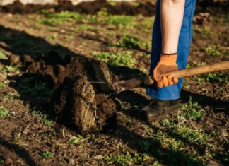Krenite na vrijeme: Šta se sije u martu da bi vam bašta u maju bila puna plodova