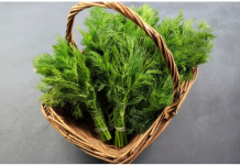 SNAŽNIJI JE OD BIJELOG LUKA: Svi bi trebalo da znaju kakav je efekat ove neupadljive biljke ljeti – ne stavljate je samo u krastavce!