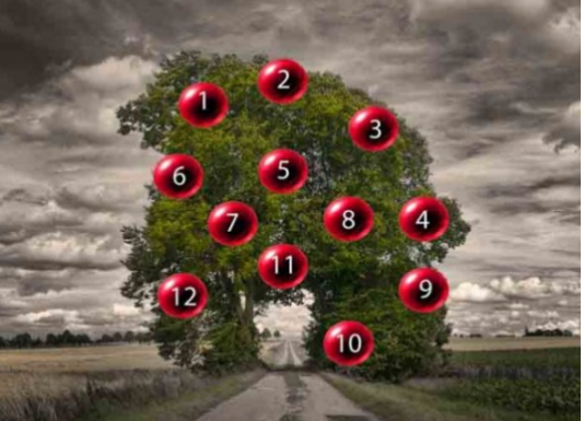 DRVO ŽELJA! ZAMISLITE JEDNU ŽELJU I IZABERITE 1 BROJ SA DRVETA: Evo da li će vam se želja ostvariti