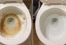 Nije sirće ni soda bikarbona: Ovo sredstvo najbolje uklanja kamenac u WC šolji