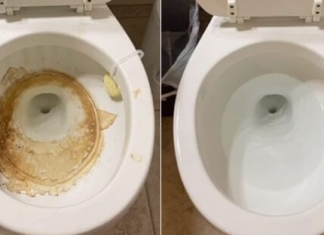 Nije sirće ni soda bikarbona: Ovo sredstvo najbolje uklanja kamenac u WC šolji