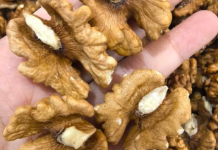 Doktori otkrivaju da jedenje oraha uzrokuje…