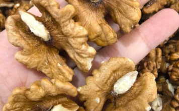 Doktori otkrivaju da jedenje oraha uzrokuje…