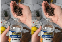 Uzmite čašu sirćeta, običnih karanfilića i dobro sačuvajte ovaj domaći trik: KORISTIM GA GODINAMA I PREPORUČUJEM SVIMA!