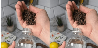 Uzmite čašu sirćeta, običnih karanfilića i dobro sačuvajte ovaj domaći trik: KORISTIM GA GODINAMA I PREPORUČUJEM SVIMA!