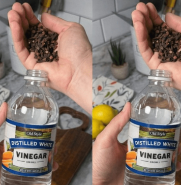 Uzmite čašu sirćeta, običnih karanfilića i dobro sačuvajte ovaj domaći trik: KORISTIM GA GODINAMA I PREPORUČUJEM SVIMA!