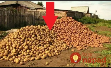 Krompir sadim svake godine prema ovom savjetu i urod je OGROMAN: Ko želi dvostruko veći prinos, neka pročita ovo!