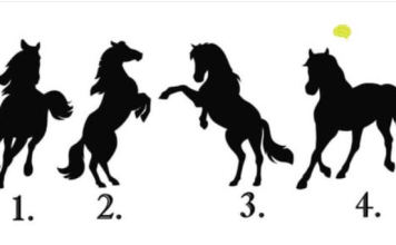 Izaberite jednog konja na slici i otkrijte po čemu vas drugi ljudi pamte