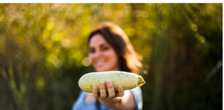 Štite srce, štitnjaču i mozak od propadanja! Ovo je 6 najmoćnijih namirnica koje možete pojesti