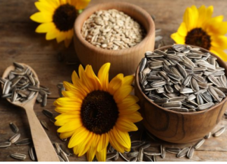 VRHUNSKE PREDNOSTI KONZUMIRANJA SJEMENKI ZA VAŠE ZDRAVLJE