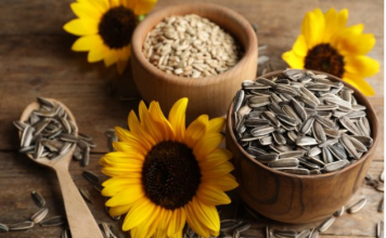 VRHUNSKE PREDNOSTI KONZUMIRANJA SJEMENKI ZA VAŠE ZDRAVLJE