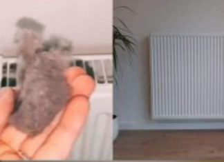 EVO KAKO DA OČISTITE RADIJATORE ZA MINUTU: Bolju foru niste vidjeli, kako se niko ranije nije sjetio ovoga?!