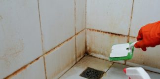 Kako da očistite ćoškove u tuš kabini? Razara kamenac, skine svu buđ i pločice čiste kao suza