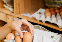 AKO VIDITE OVAKVA JAJA, NE KUPUJTE IH NI DA SU U POLA CENE! Svi gledaju u ROK TRAJANJA i DATUM, a TO NIJE SVE