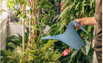 Najbolja domaća prihrana za biljke: Samo dva sastojka za bujno cvjetanje