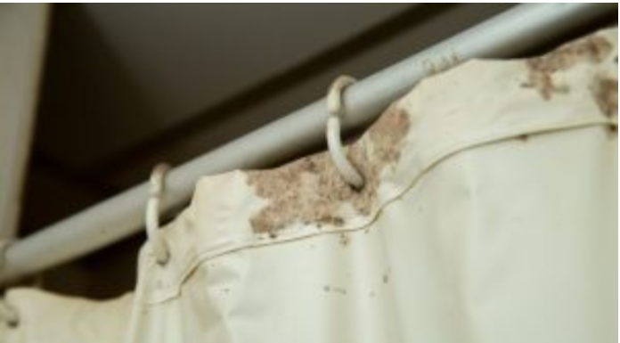 Koliko često čistiti zavesu za tuš? Važnije je nego što mislite, samo ovako nećete pogrešiti