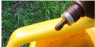 Samo NEKOLIKO kapi ubija plamenjaču paradajza: Više cvjeta, plodovi brže sazrijevaju